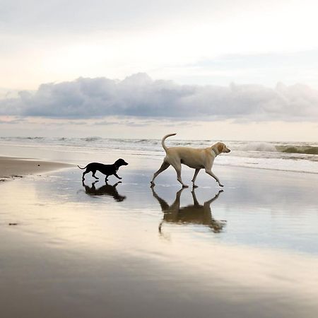 Spoonbill Cottage Filey Luaran gambar