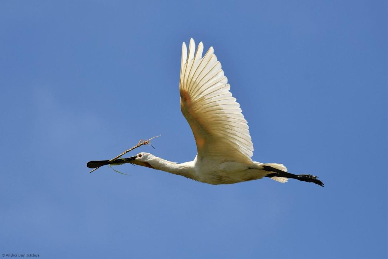 Spoonbill Cottage Filey Luaran gambar
