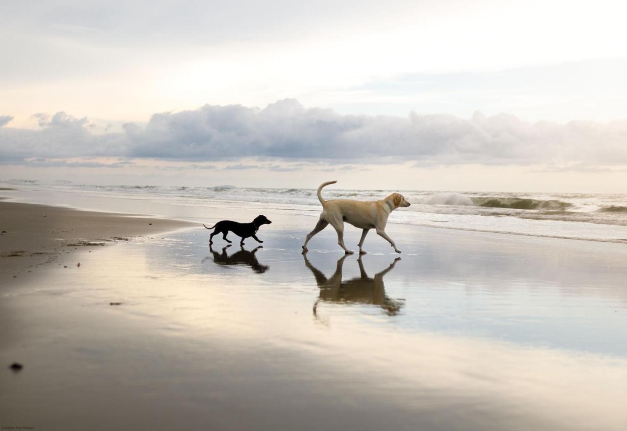 Spoonbill Cottage Filey Luaran gambar